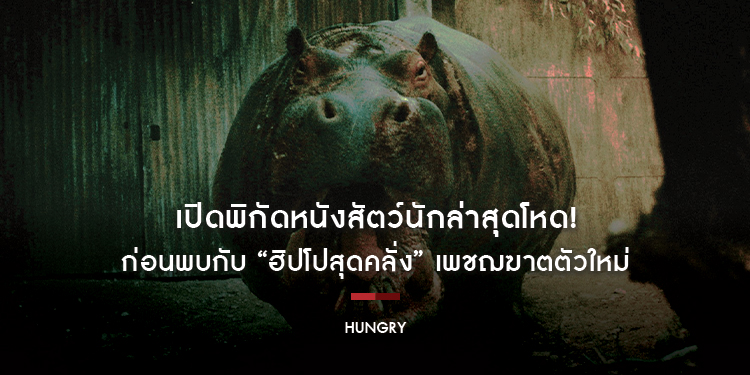 เปิดพิกัดหนังสัตว์นักล่าสุดโหด! ก่อนพบกับ “ฮิปโปสุดคลั่ง” เพชฌฆาตตัวใหม่ ครั้งแรกบนโลกภาพยนตร์ “Hungry มันเด้งขึ้นมาแดก”